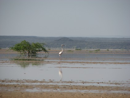 Lake Saha